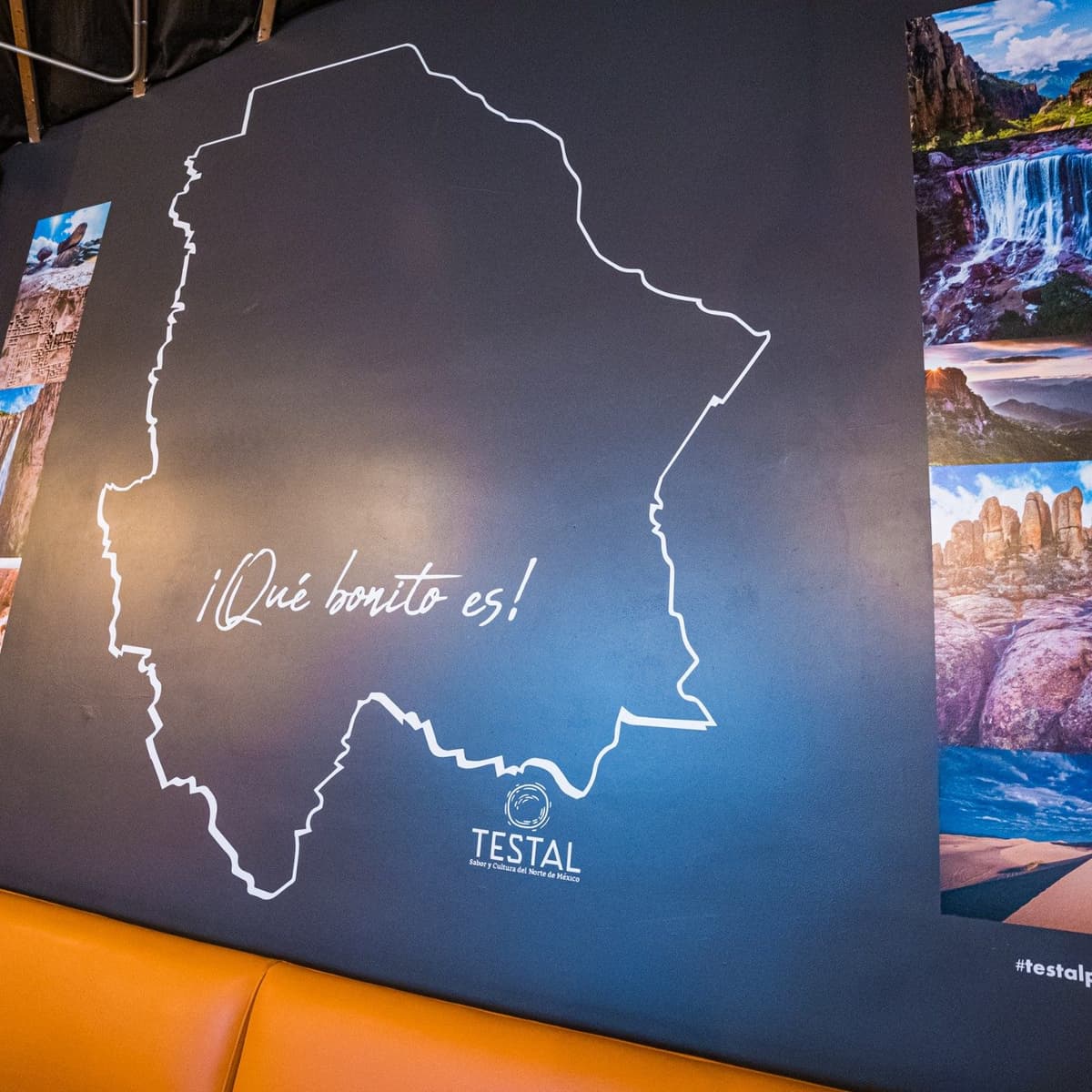 Testal home-cooked food ready for pickup